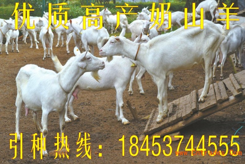 点击打开原图