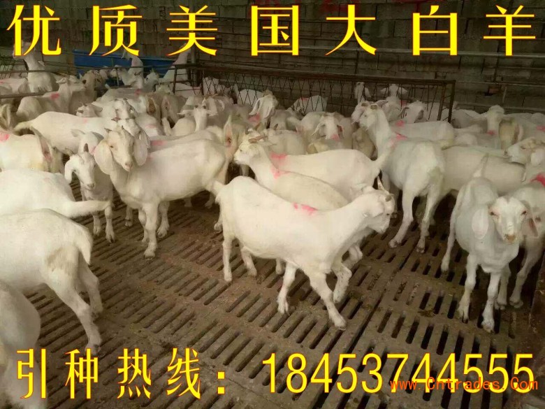 点击打开原图