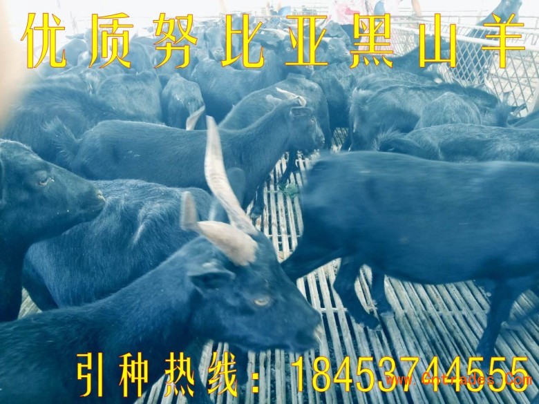 点击打开原图