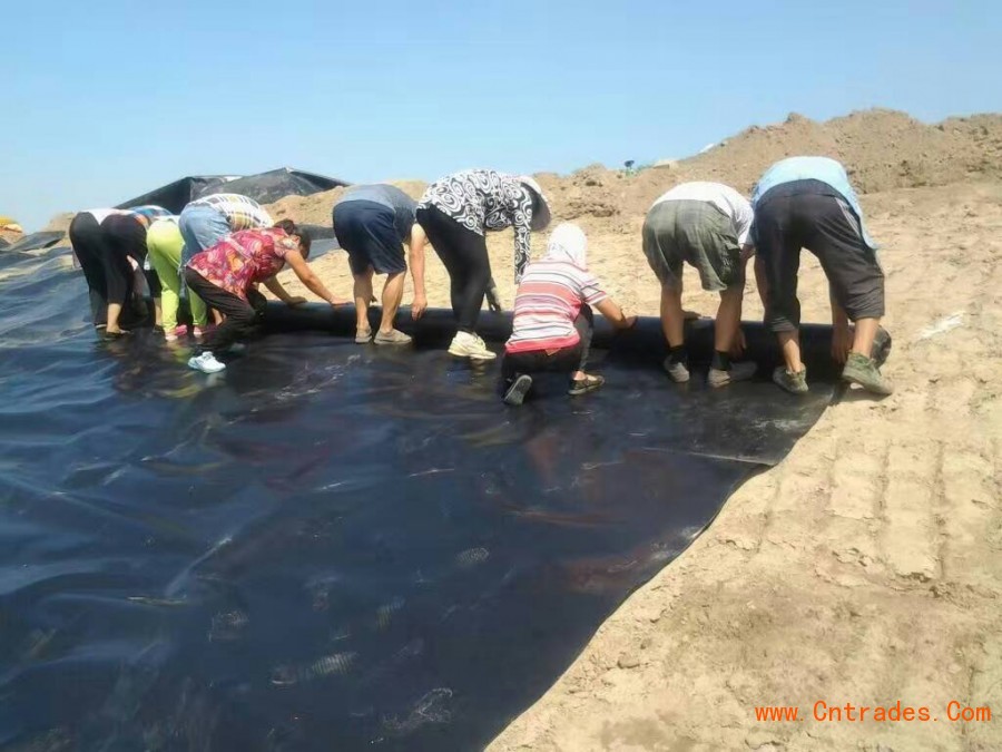 梅州【哪里有卖沼气池防渗膜的】18854801861【沼气池用土工膜多少钱】