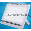 BVP161 LEDͶ 30W 50W 110W 220W Ͷƻˮ