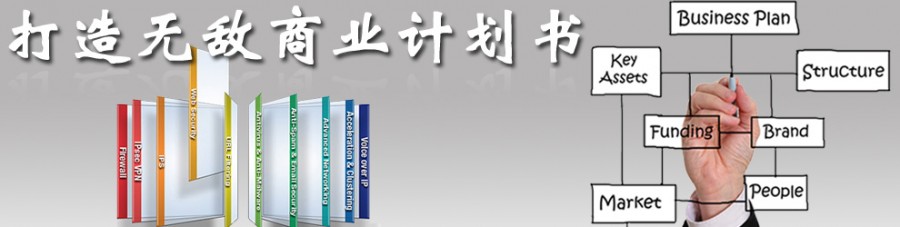 河南代写项目申请报告老总必看