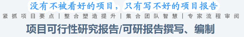 杭州代写资金申请报告发改指定