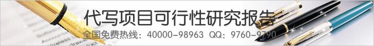 舟山代写项目报告发改指定