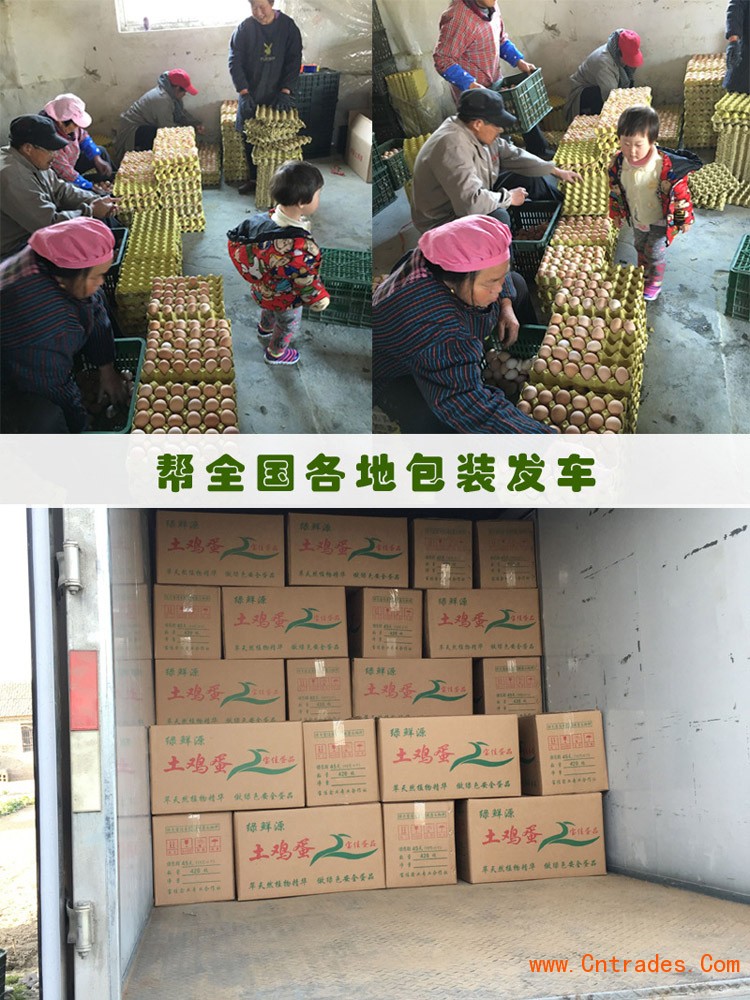 深圳市龙华新区鸡蛋养殖场
