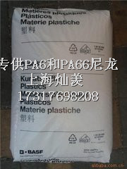 PA6荷兰辽宁大连（上海）总代理