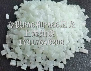 PA6荷兰湖北宜昌厂家