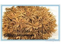 南山回收冬虫夏草-回收冬虫夏草商家