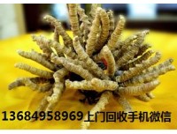 广州天河回收冬虫夏草-回收冬虫夏草商家◆