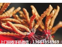 广州海珠回收冬虫夏草-回收冬虫夏草商家