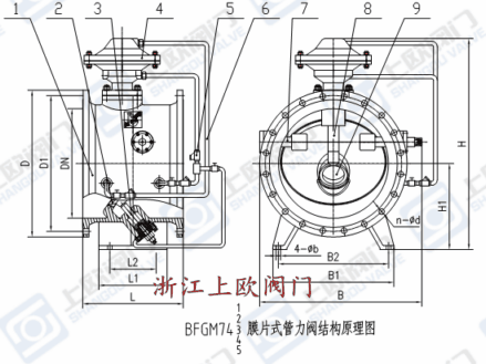 <strong><strong><strong><strong>膜片式管力阀</strong></strong></strong></strong>结构原理图