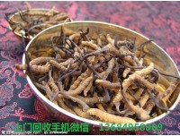 宝安2017年冬虫夏草回收价格多少钱一克