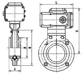 D981F电动卫生级蝶阀PN6～PN16外形结构尺寸图
